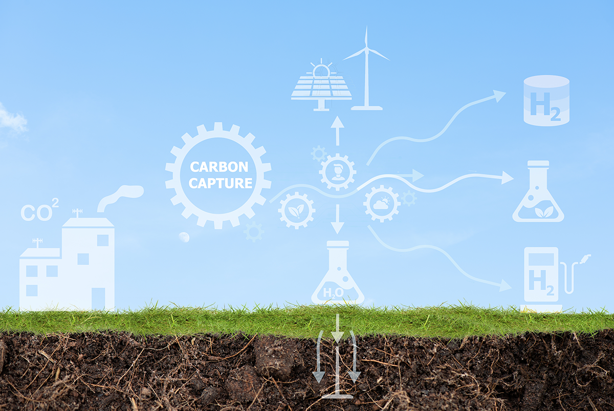 Business English - Carbon Capture